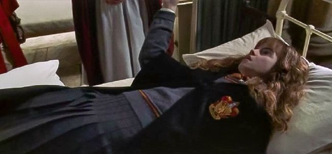 hermiona Blank Meme Template