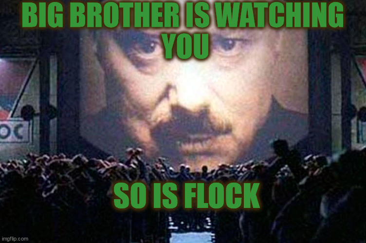Orwells Year Is Here | BIG BROTHER IS WATCHING 
YOU; SO IS FLOCK | image tagged in literally 1984 | made w/ Imgflip meme maker