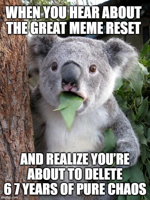 Clearing out | WHEN YOU HEAR ABOUT THE GREAT MEME RESET; AND REALIZE YOU’RE ABOUT TO DELETE 6 7 YEARS OF PURE CHAOS | image tagged in memes,surprised koala,funny memes,great meme reset | made w/ Imgflip meme maker