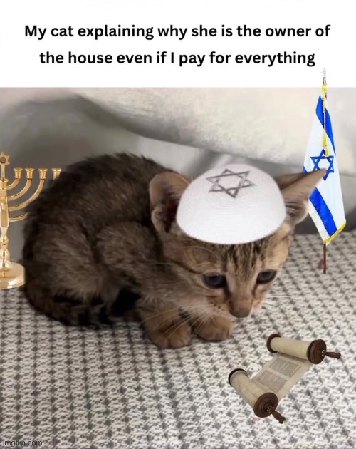 Should I bring in Adolf kitler? | made w/ Imgflip meme maker