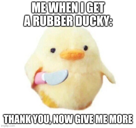 DUCKIES GIVE ME ALL THE DUCKIES | ME WHEN I GET A RUBBER DUCKY:; THANK YOU, NOW GIVE ME MORE | image tagged in duck with knife | made w/ Imgflip meme maker