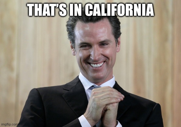 Scheming Gavin Newsom  | THAT’S IN CALIFORNIA | image tagged in scheming gavin newsom | made w/ Imgflip meme maker