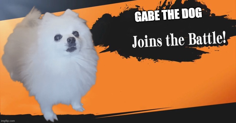 gabe the dog in smash bros | GABE THE DOG | image tagged in smash bros | made w/ Imgflip meme maker