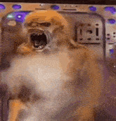 tweak Blank Meme Template