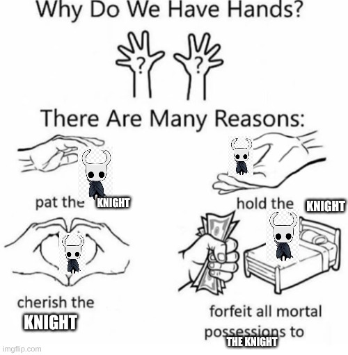 Where My Hollow Knight Fans At?! | KNIGHT; KNIGHT; KNIGHT; THE KNIGHT | image tagged in hollow knight | made w/ Imgflip meme maker