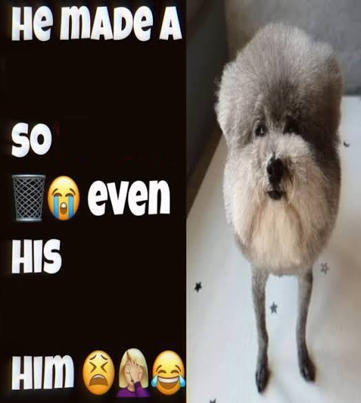 He made a statement so trash Blank Meme Template