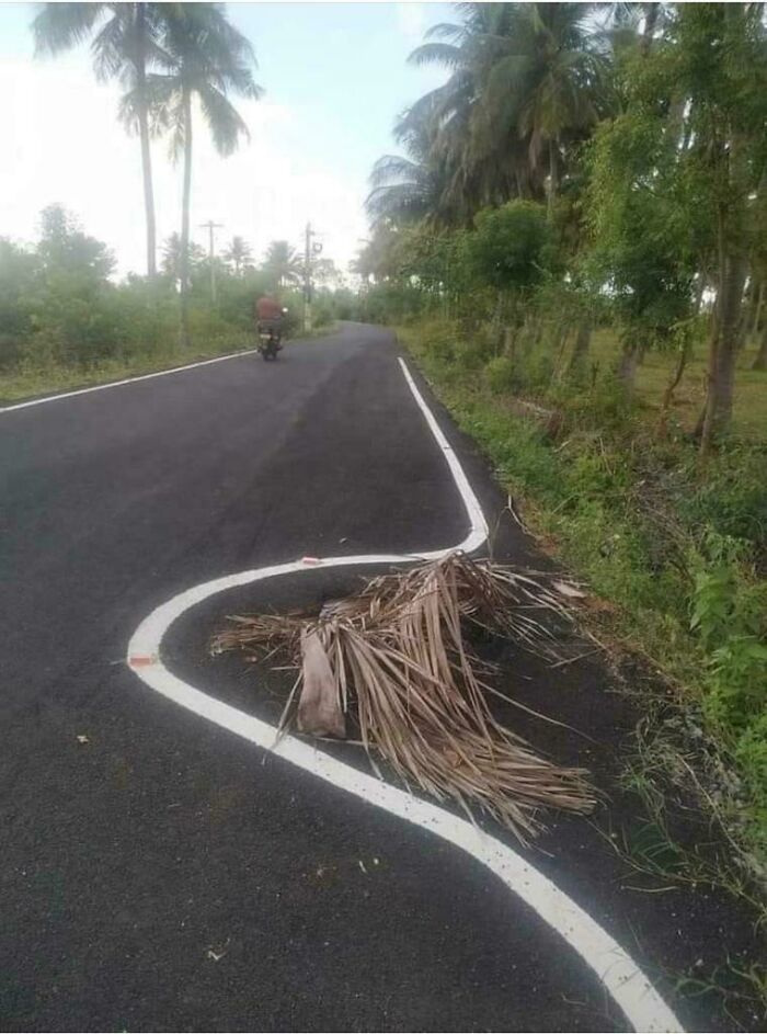 Road markings fail Blank Meme Template