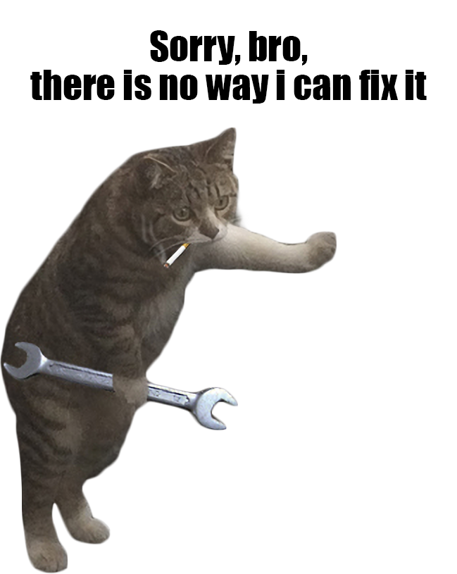 cat fix back Blank Meme Template
