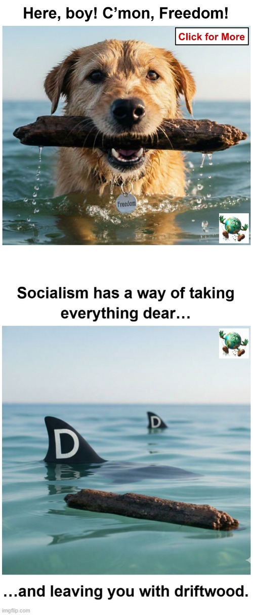 What can we take away from the lesson of socialism? | made w/ Imgflip meme maker