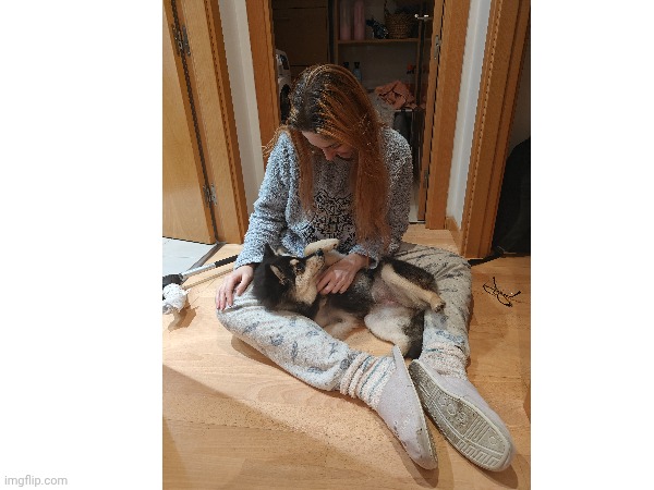 Ruby | image tagged in dogs | made w/ Imgflip meme maker