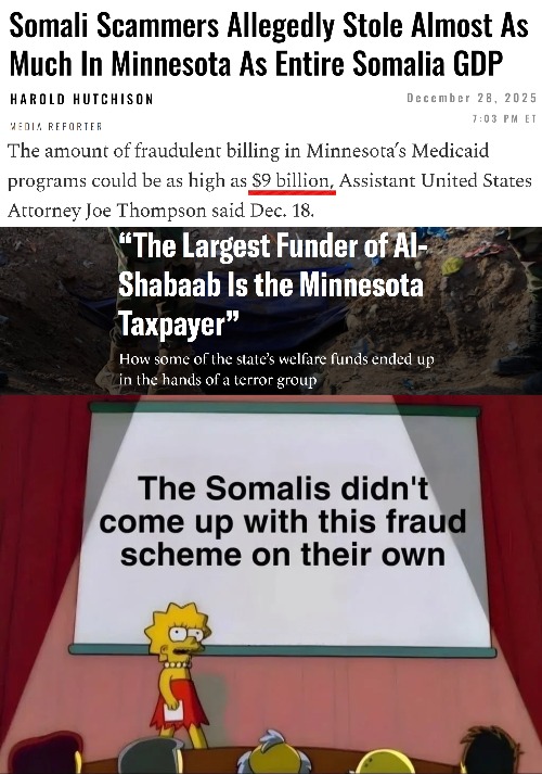 Meanwhile, Sweden has discovered its own Somali fraud ring... | image tagged in lisa simpson's presentation,fraud,terrorism,american politics,democrats | made w/ Imgflip meme maker