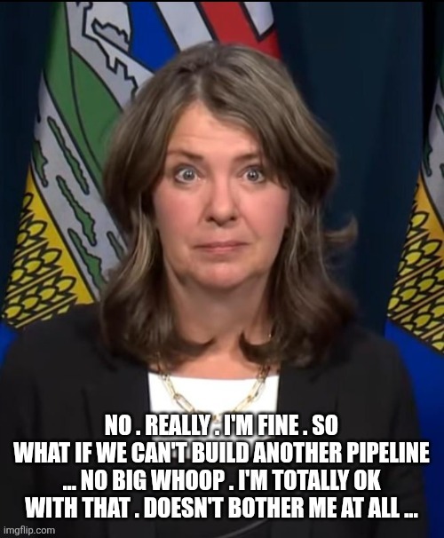 Canadian politics | image tagged in political meme | made w/ Imgflip meme maker