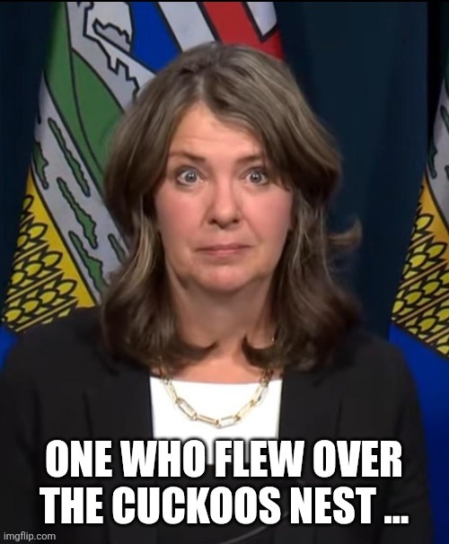 Canadian politics | image tagged in political meme | made w/ Imgflip meme maker