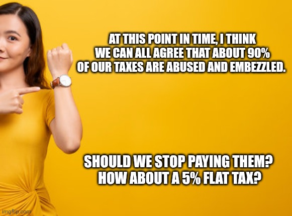 AT THIS POINT IN TIME, I THINK WE CAN ALL AGREE THAT ABOUT 90% OF OUR TAXES ARE ABUSED AND EMBEZZLED. SHOULD WE STOP PAYING THEM?
 HOW ABOUT A 5% FLAT TAX? | image tagged in funny memes | made w/ Imgflip meme maker