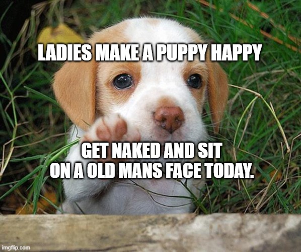 dog puppy bye | LADIES MAKE A PUPPY HAPPY; GET NAKED AND SIT ON A OLD MANS FACE TODAY. | image tagged in dog puppy bye | made w/ Imgflip meme maker
