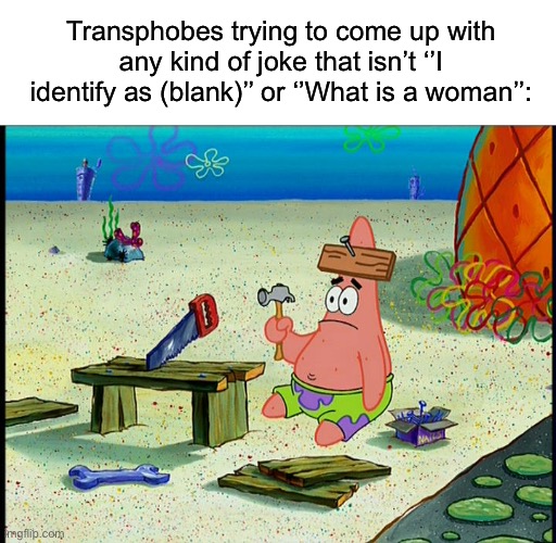 patrick star wood | Transphobes trying to come up with any kind of joke that isn’t ‘’I identify as (blank)’’ or ‘’What is a woman’’: | made w/ Imgflip meme maker