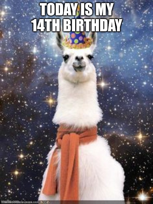 Yipeeeee | TODAY IS MY 14TH BIRTHDAY | image tagged in happy birthday alpaca | made w/ Imgflip meme maker