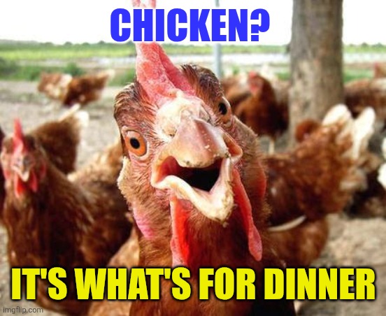 Chicken for dinner | CHICKEN? IT'S WHAT'S FOR DINNER | image tagged in chicken,funny memes | made w/ Imgflip meme maker
