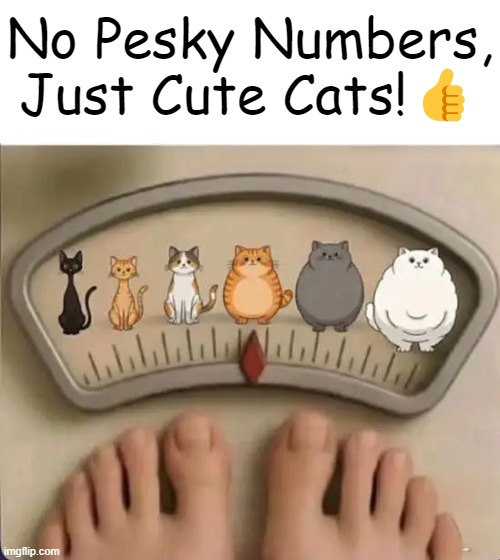 You're Not Fat! You're Just Fluffy! | No Pesky Numbers,
Just Cute Cats!👍 | image tagged in modern problems require modern solutions,life hack,solution,weight gain,fluffy,hurt feelings | made w/ Imgflip meme maker