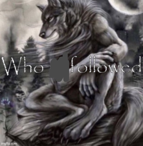 Who unfollowed | image tagged in who unfollowed | made w/ Imgflip meme maker