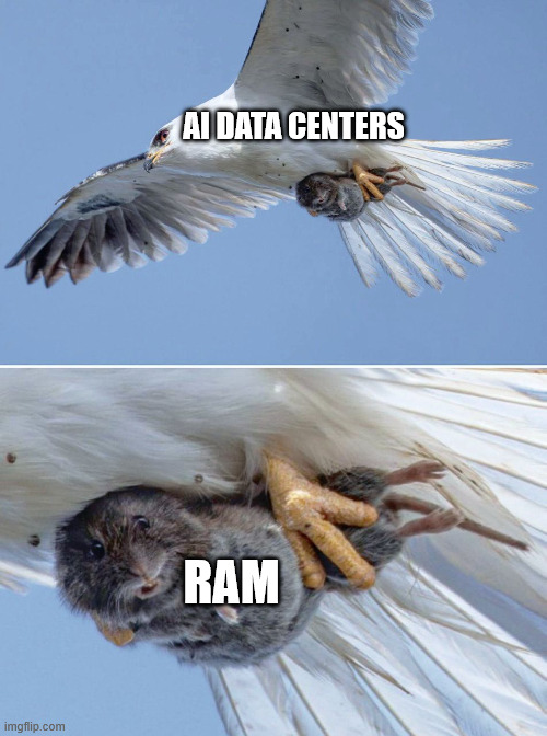 No RAM for you and me | AI DATA CENTERS; RAM | image tagged in small animal caught by a predator,computers,pc gaming,ram,artificial intelligence | made w/ Imgflip meme maker
