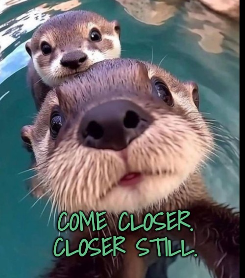 COME CLOSER. CLOSER STILL. | made w/ Imgflip meme maker