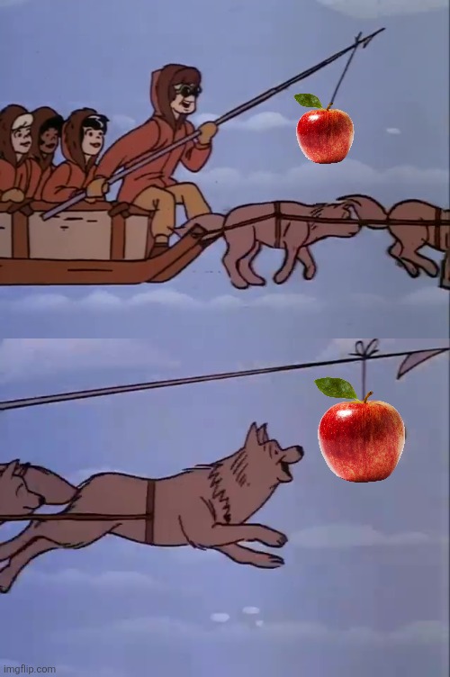 hungry eskimo dog tundra snow arctic north pole sled bait bone | image tagged in hungry eskimo dog tundra snow arctic north pole sled bait bone | made w/ Imgflip meme maker