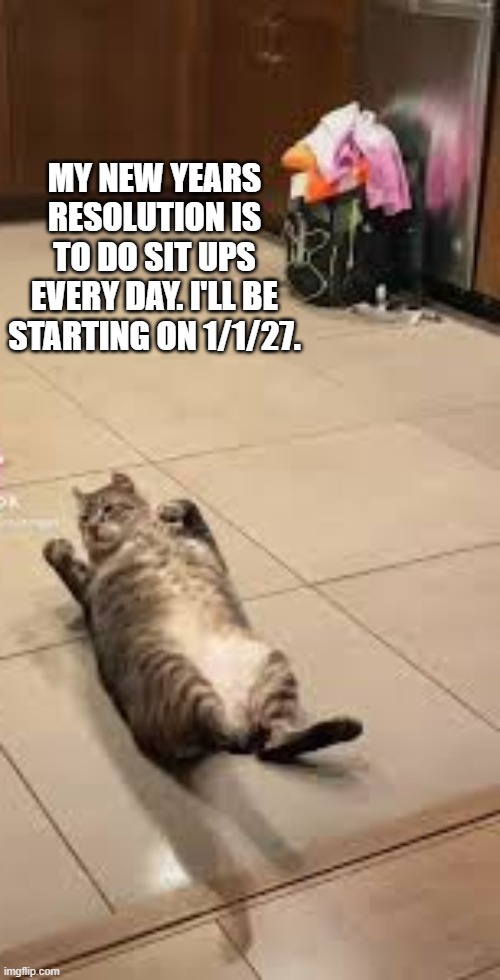 The cats new year resolution is to do sit ups starting 1/1/27. | MY NEW YEARS RESOLUTION IS TO DO SIT UPS EVERY DAY. I'LL BE STARTING ON 1/1/27. | image tagged in cat,kittens,funny,humor,new years resolutions,exercise | made w/ Imgflip meme maker