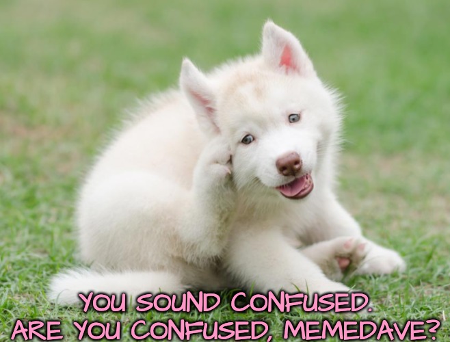 YOU SOUND CONFUSED. ARE YOU CONFUSED, MEMEDAVE? | image tagged in think think think | made w/ Imgflip meme maker