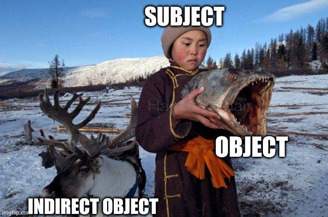 Hamid Sardar Dukha Boy with Fish Head | SUBJECT; OBJECT; INDIRECT OBJECT | image tagged in hamid sardar dukha boy with fish head | made w/ Imgflip meme maker
