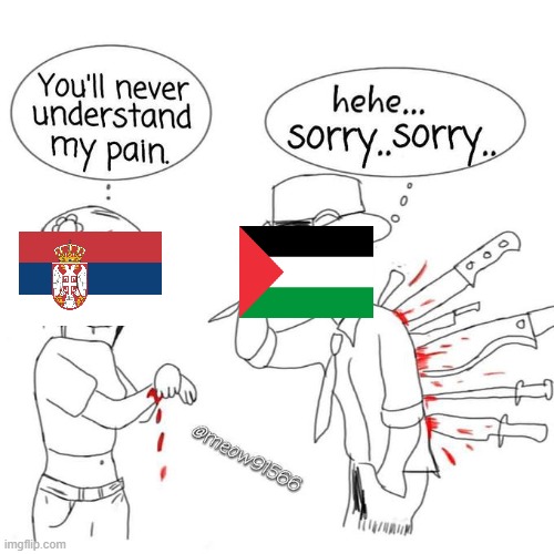 Palestine suffered more in a century and a half than Serbia did in one millennium.... | image tagged in you'll never understand my pain,serbia,palestine,suffering,pain,suffer | made w/ Imgflip meme maker
