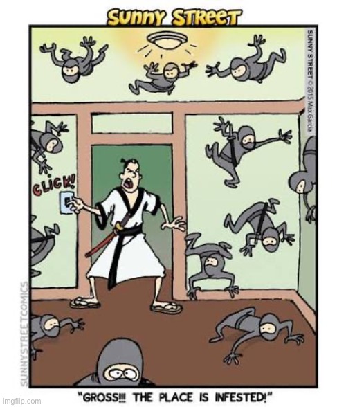 Ninja infestation!… | image tagged in comics,sunny street,dojo,ninjas,infestation | made w/ Imgflip meme maker