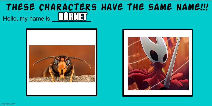 You can't change my mind | HORNET | image tagged in these characters have the same name,memes,funny,hornet,hollow knight,why are you reading this | made w/ Imgflip meme maker
