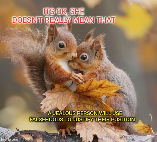 ITS OK, SHE DOESN'T REALLY MEAN THAT A JEALOUS PERSON WILL USE FALSEHOODS TO JUSTIFY THEIR POSITION | made w/ Imgflip meme maker