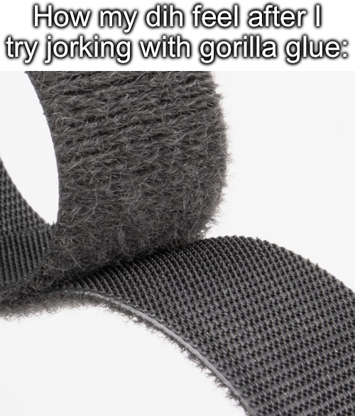 High Quality gorilla glue velcro Blank Meme Template