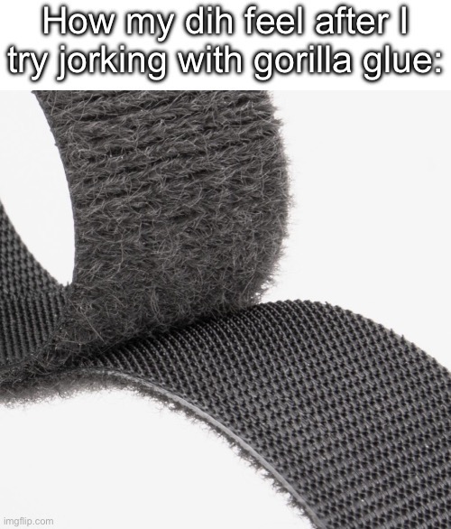 gorilla glue velcro | image tagged in gorilla glue velcro | made w/ Imgflip meme maker