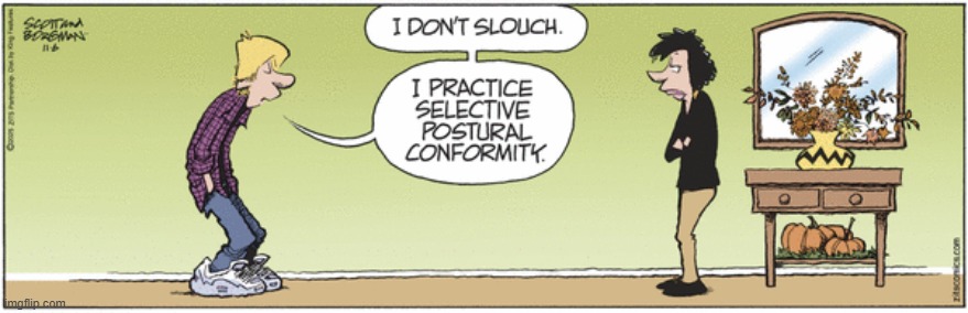 Zits | image tagged in comics | made w/ Imgflip meme maker