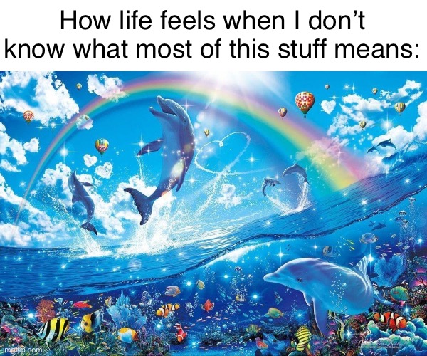 How life feels when | How life feels when I don’t know what most of this stuff means: | image tagged in how life feels when | made w/ Imgflip meme maker