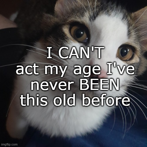 car | I CAN'T act my age I've never BEEN this old before | image tagged in car | made w/ Imgflip meme maker