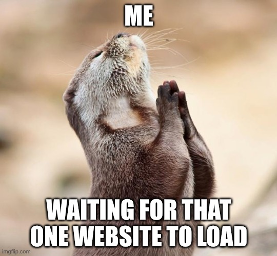 that one website | ME; WAITING FOR THAT ONE WEBSITE TO LOAD | image tagged in animal praying | made w/ Imgflip meme maker