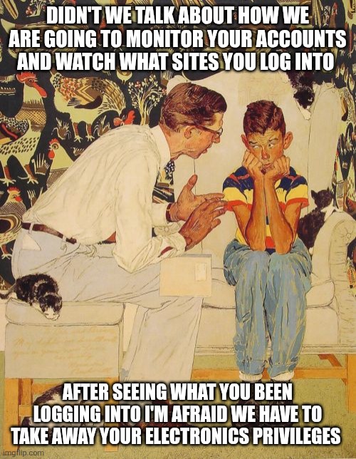Parents should do this more now | DIDN'T WE TALK ABOUT HOW WE ARE GOING TO MONITOR YOUR ACCOUNTS AND WATCH WHAT SITES YOU LOG INTO; AFTER SEEING WHAT YOU BEEN LOGGING INTO I'M AFRAID WE HAVE TO TAKE AWAY YOUR ELECTRONICS PRIVILEGES | image tagged in memes,the problem is | made w/ Imgflip meme maker