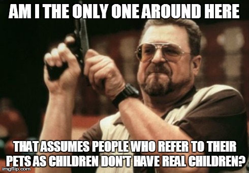 Am I The Only One Around Here | AM I THE ONLY ONE AROUND HERE THAT ASSUMES PEOPLE WHO REFER TO THEIR PETS AS CHILDREN DON'T HAVE REAL CHILDREN? | image tagged in memes,am i the only one around here | made w/ Imgflip meme maker