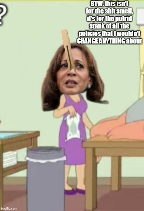 BTW, this isn't for the shit smell, it's for the putrid stank of all the policies that I wouldn't CHANGE ANYTHING about | made w/ Imgflip meme maker