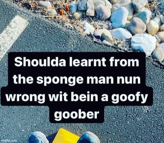 made w/ Imgflip meme maker