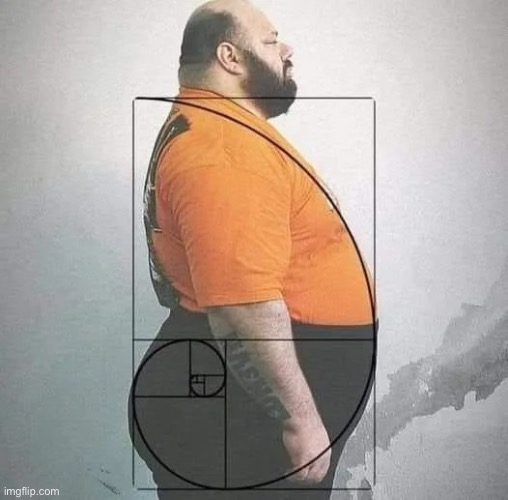 image tagged in the golden ratio | made w/ Imgflip meme maker