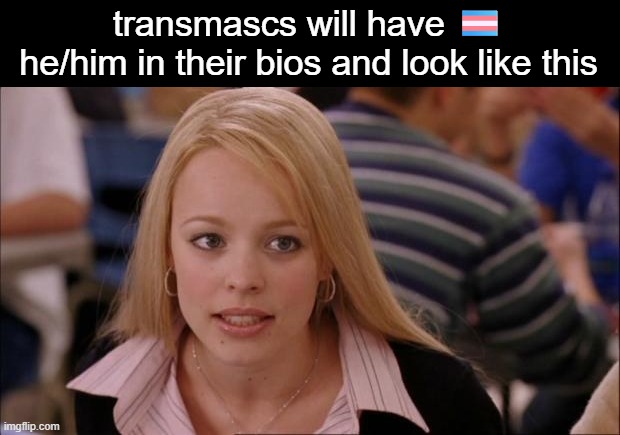 put it a lil more effort dawg | transmascs will have 🏳️‍⚧️ he/him in their bios and look like this | image tagged in memes,its not going to happen | made w/ Imgflip meme maker