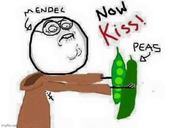 image tagged in biology | made w/ Imgflip meme maker