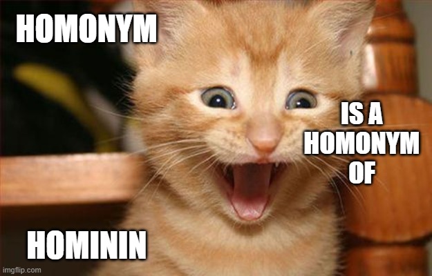 Homonym Hominin | HOMONYM; IS A
HOMONYM
OF; HOMININ | image tagged in surprise cat,homo,caveman,homonym,gammar | made w/ Imgflip meme maker
