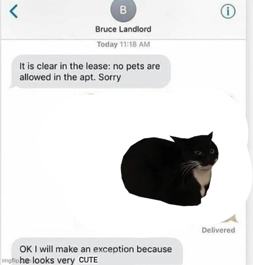 your pet look very polite | CUTE | image tagged in your pet look very polite | made w/ Imgflip meme maker