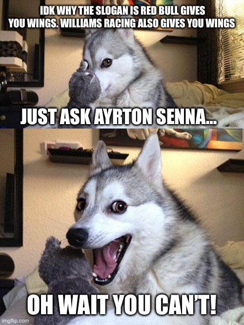 Wings up to God | IDK WHY THE SLOGAN IS RED BULL GIVES YOU WINGS. WILLIAMS RACING ALSO GIVES YOU WINGS; JUST ASK AYRTON SENNA…; OH WAIT YOU CAN’T! | image tagged in bad pun husky,memes,dark humor,f1 crash,f1 | made w/ Imgflip meme maker
